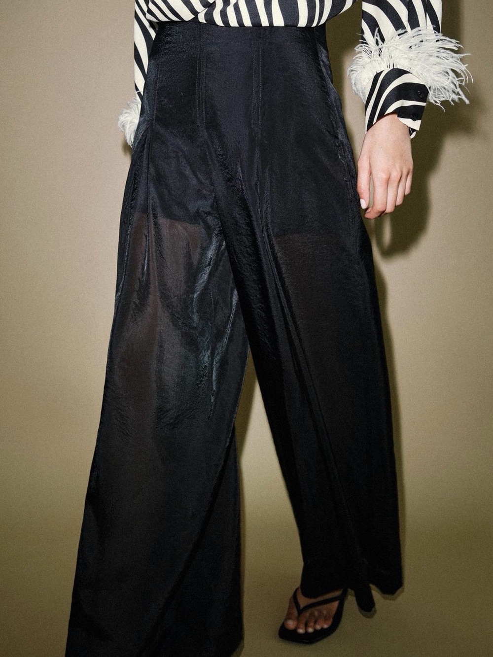 Zara Semi Sheer Pants